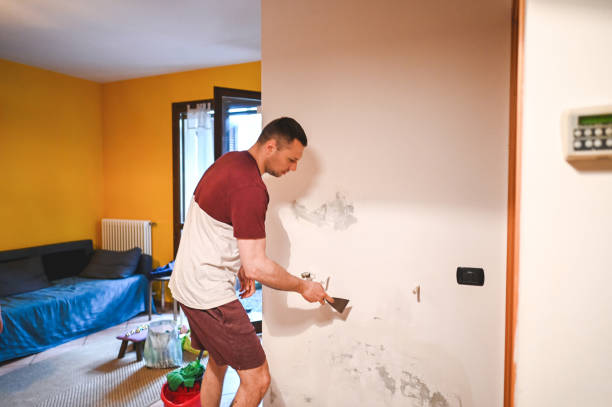 Best Commercial Mold Removal  in Angwin, CA